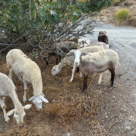 Cortijo La Vista Villa Orgiva Eksteriør bilde