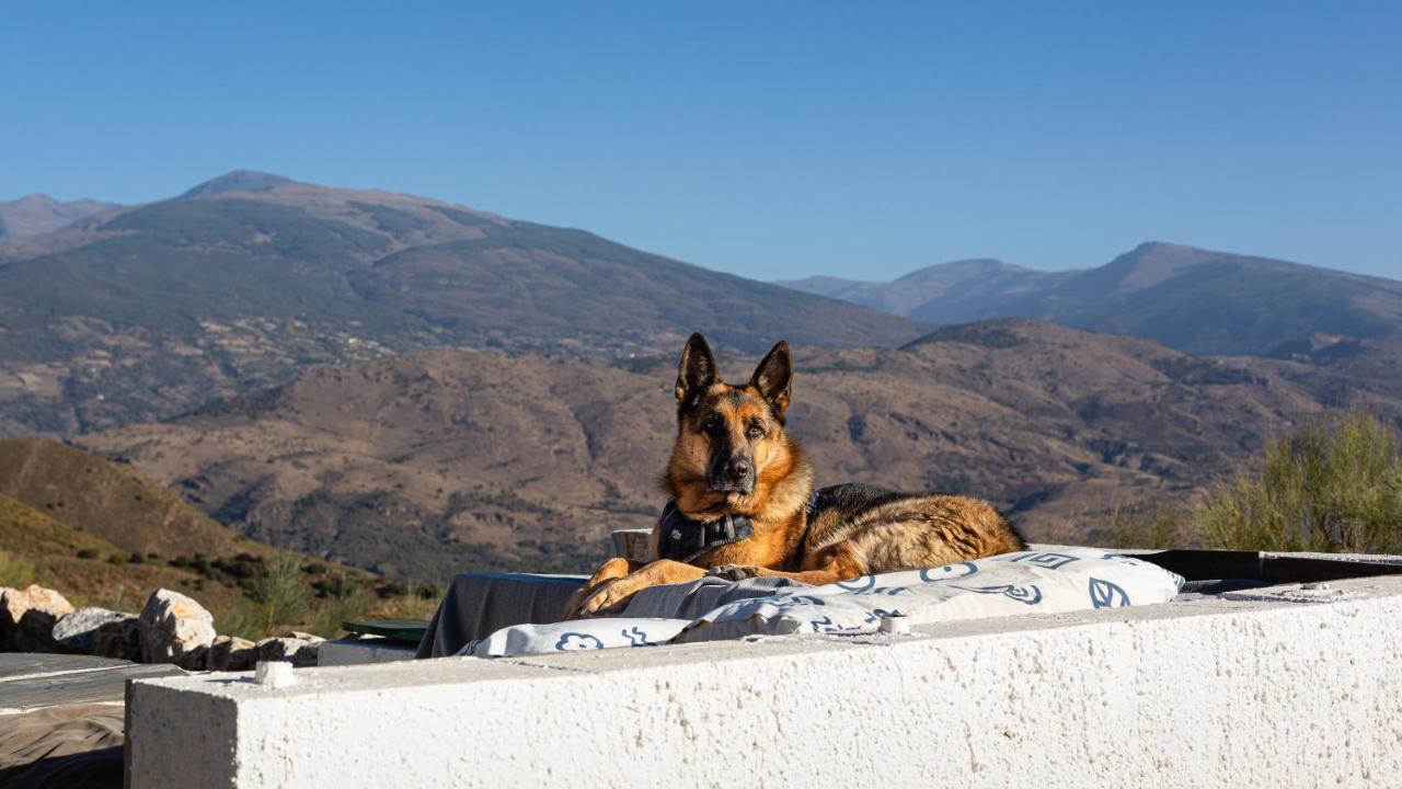 Cortijo La Vista Villa Orgiva Eksteriør bilde