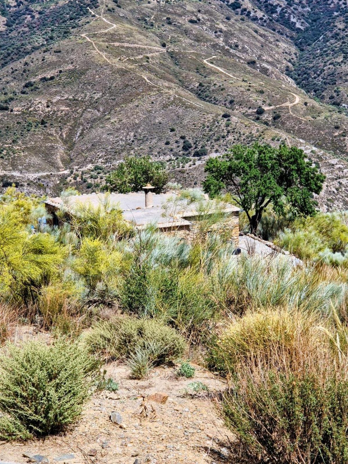 Cortijo La Vista Villa Orgiva Eksteriør bilde