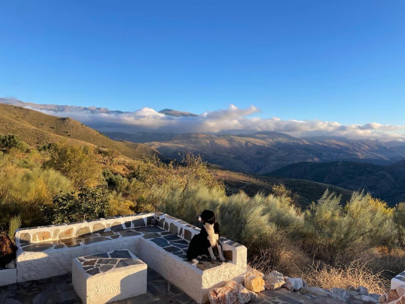 Cortijo La Vista Villa Orgiva Eksteriør bilde